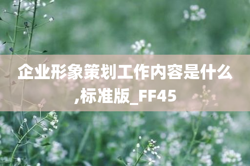 企业形象策划工作内容是什么,标准版_FF45