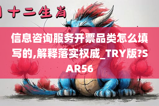 信息咨询服务开票品类怎么填写的,解释落实权威_TRY版?SAR56