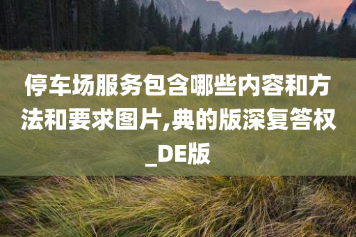 停车场服务包含哪些内容和方法和要求图片,典的版深复答权_DE版