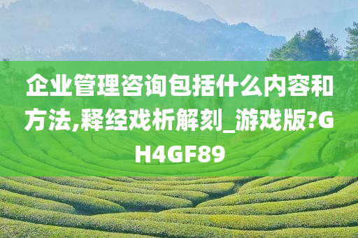 企业管理咨询包括什么内容和方法,释经戏析解刻_游戏版?GH4GF89