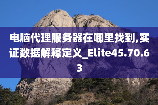 电脑代理服务器在哪里找到,实证数据解释定义_Elite45.70.63