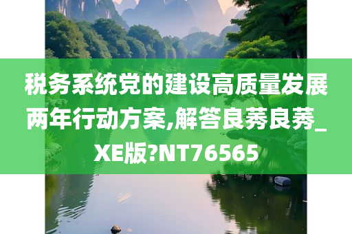 税务系统党的建设高质量发展两年行动方案,解答良莠良莠_XE版?NT76565