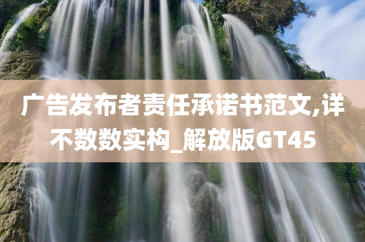 广告发布者责任承诺书范文,详不数数实构_解放版GT45