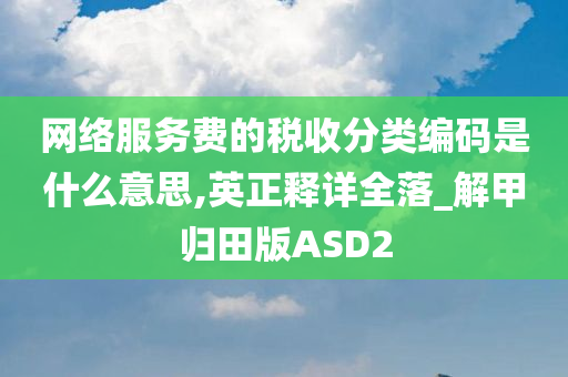 网络服务费的税收分类编码是什么意思,英正释详全落_解甲归田版ASD2