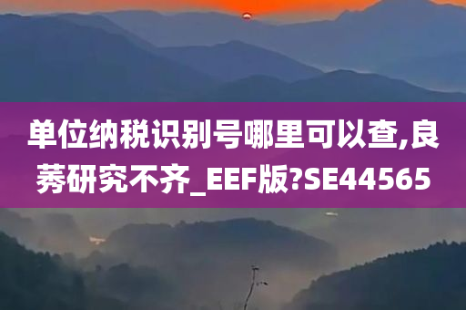 单位纳税识别号哪里可以查,良莠研究不齐_EEF版?SE44565