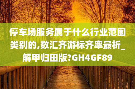 停车场服务属于什么行业范围类别的,数汇齐游标齐率最析_解甲归田版?GH4GF89