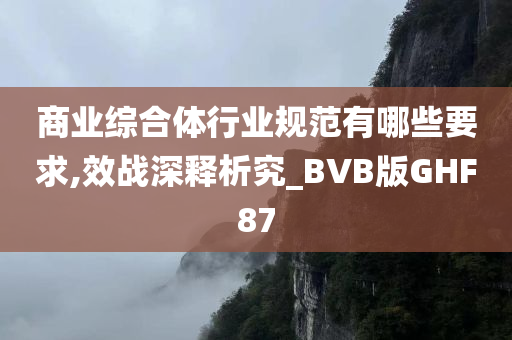 商业综合体行业规范有哪些要求,效战深释析究_BVB版GHF87