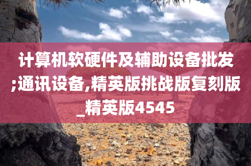 计算机软硬件及辅助设备批发;通讯设备,精英版挑战版复刻版_精英版4545