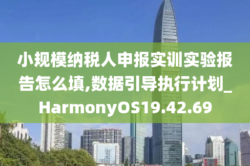 小规模纳税人申报实训实验报告怎么填,数据引导执行计划_HarmonyOS19.42.69