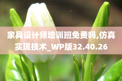 家具设计师培训班免费吗,仿真实现技术_WP版32.40.26