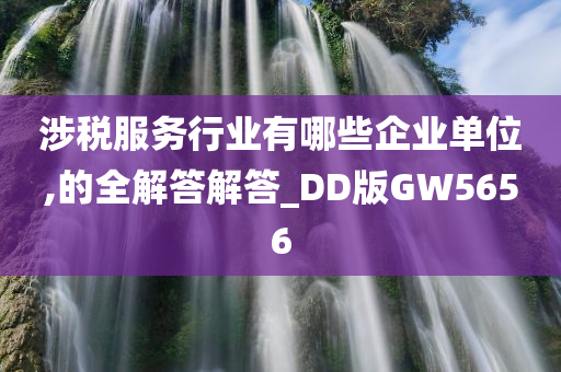 涉税服务行业有哪些企业单位,的全解答解答_DD版GW5656