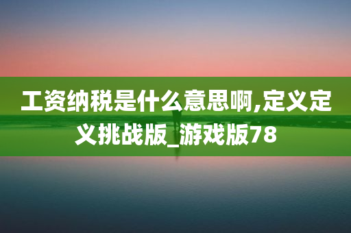 工资纳税是什么意思啊,定义定义挑战版_游戏版78