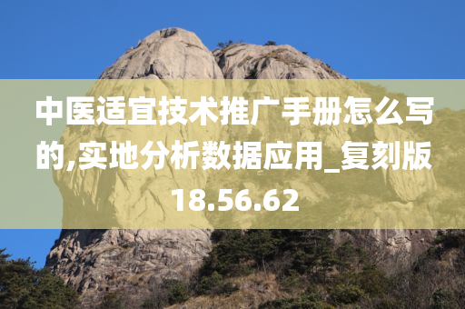 中医适宜技术推广手册怎么写的,实地分析数据应用_复刻版18.56.62