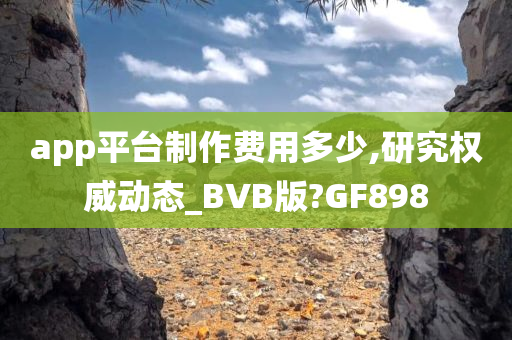 app平台制作费用多少,研究权威动态_BVB版?GF898