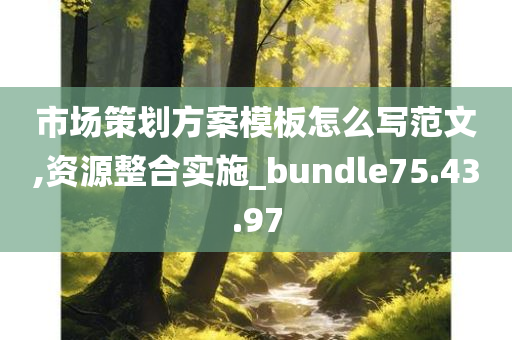 市场策划方案模板怎么写范文,资源整合实施_bundle75.43.97