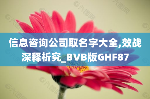 信息咨询公司取名字大全,效战深释析究_BVB版GHF87