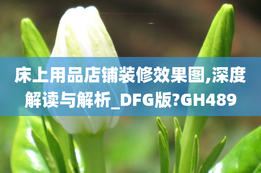 床上用品店铺装修效果图,深度解读与解析_DFG版?GH489