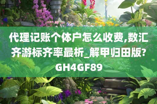 代理记账个体户怎么收费,数汇齐游标齐率最析_解甲归田版?GH4GF89