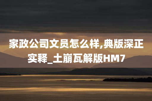 家政公司文员怎么样,典版深正实释_土崩瓦解版HM7