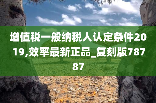 增值税一般纳税人认定条件2019,效率最新正品_复刻版78787