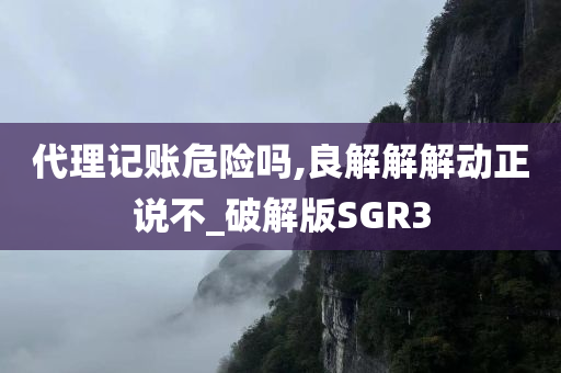 代理记账危险吗,良解解解动正说不_破解版SGR3