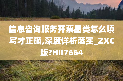 信息咨询服务开票品类怎么填写才正确,深度详析落实_ZXC版?HII7664