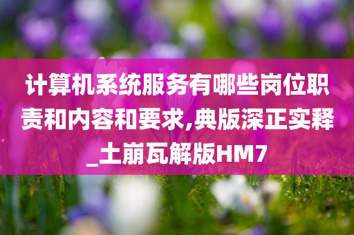 计算机系统服务有哪些岗位职责和内容和要求,典版深正实释_土崩瓦解版HM7