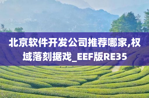 北京软件开发公司推荐哪家,权域落刻据戏_EEF版RE35