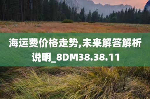 海运费价格走势,未来解答解析说明_8DM38.38.11