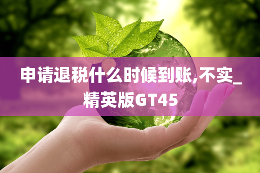 申请退税什么时候到账,不实_精英版GT45