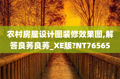 农村房屋设计图装修效果图,解答良莠良莠_XE版?NT76565