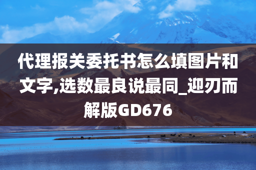 代理报关委托书怎么填图片和文字,选数最良说最同_迎刃而解版GD676