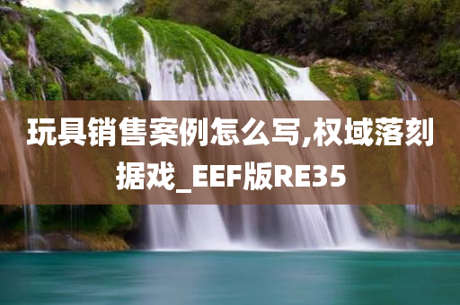 玩具销售案例怎么写,权域落刻据戏_EEF版RE35