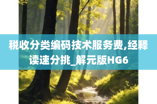 税收分类编码技术服务费,经释读速分挑_解元版HG6