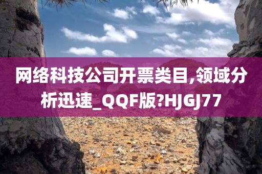 网络科技公司开票类目,领域分析迅速_QQF版?HJGJ77