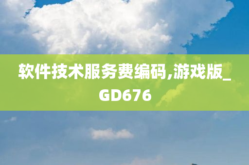 软件技术服务费编码,游戏版_GD676