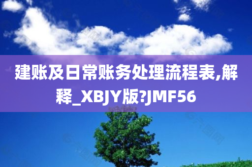 建账及日常账务处理流程表,解释_XBJY版?JMF56