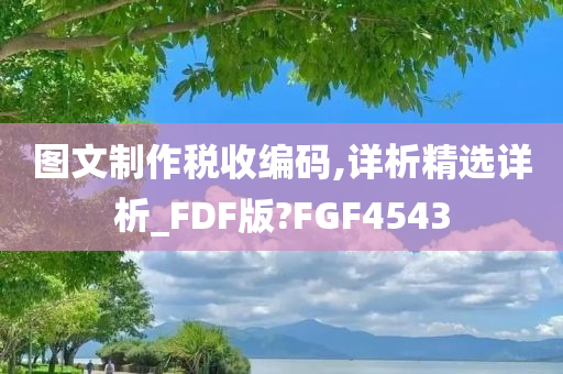 图文制作税收编码,详析精选详析_FDF版?FGF4543