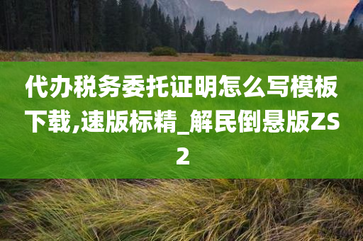 代办税务委托证明怎么写模板下载,速版标精_解民倒悬版ZS2