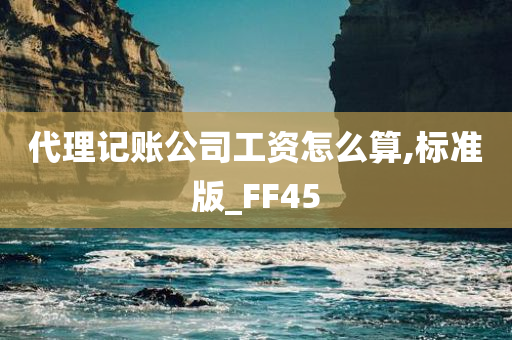 代理记账公司工资怎么算,标准版_FF45