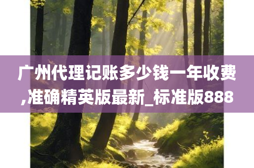 广州代理记账多少钱一年收费,准确精英版最新_标准版888