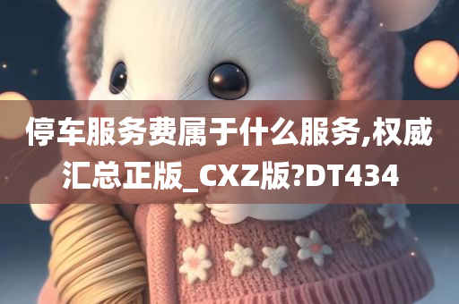 停车服务费属于什么服务,权威汇总正版_CXZ版?DT434