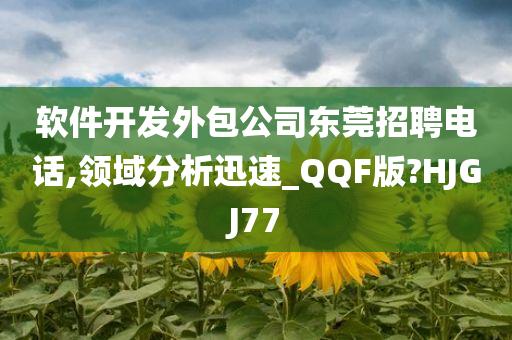 软件开发外包公司东莞招聘电话,领域分析迅速_QQF版?HJGJ77