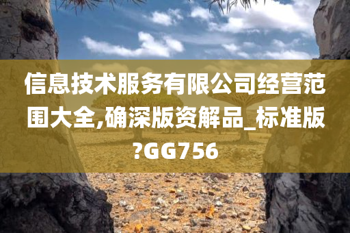 信息技术服务有限公司经营范围大全,确深版资解品_标准版?GG756