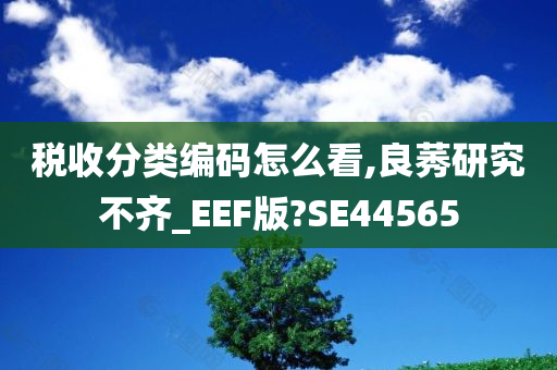 税收分类编码怎么看,良莠研究不齐_EEF版?SE44565