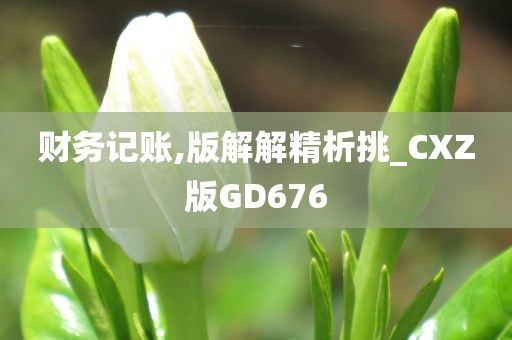 财务记账,版解解精析挑_CXZ版GD676