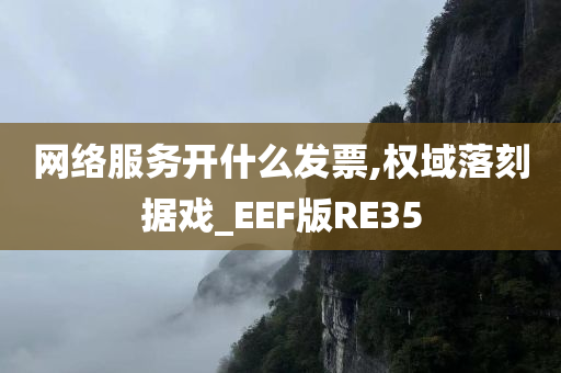 网络服务开什么发票,权域落刻据戏_EEF版RE35