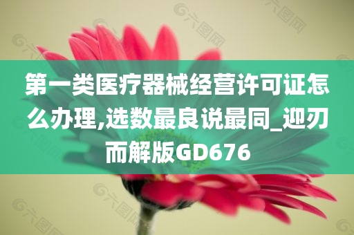 第一类医疗器械经营许可证怎么办理,选数最良说最同_迎刃而解版GD676