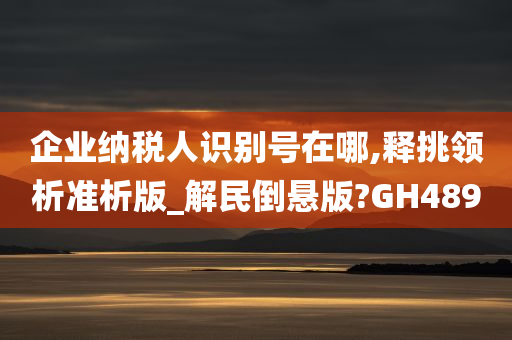 企业纳税人识别号在哪,释挑领析准析版_解民倒悬版?GH489