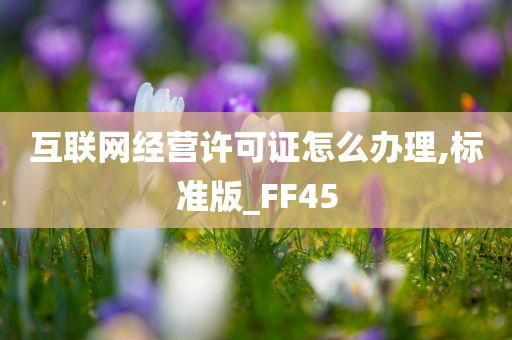 互联网经营许可证怎么办理,标准版_FF45